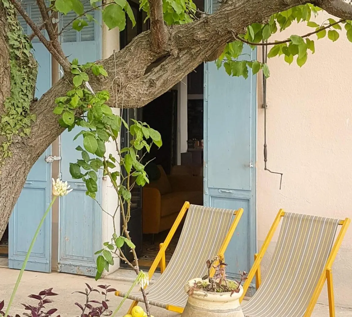 Jardin & Vue Mer Maison Des Annees 20 Proche Du Centre Historique グラース