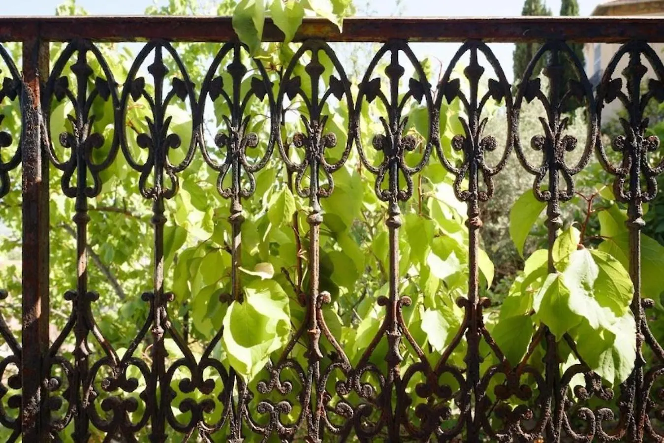 別荘 Jardin & Vue Mer Maison Des Annees 20 Proche Du Centre Historique グラース フランス